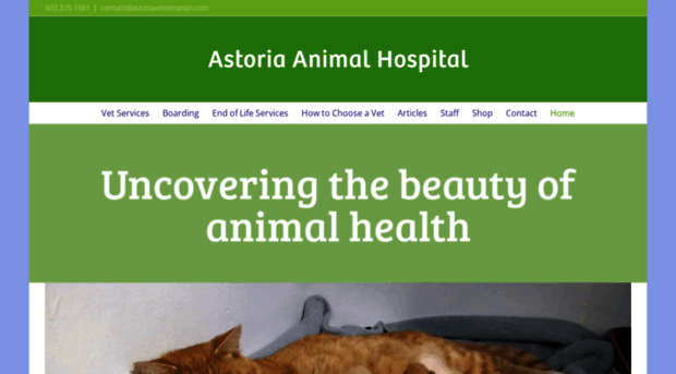 astoriaveterinarian.com