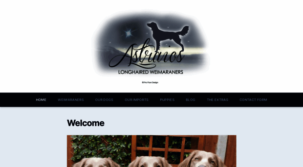 astraiosweimaraners.co.uk