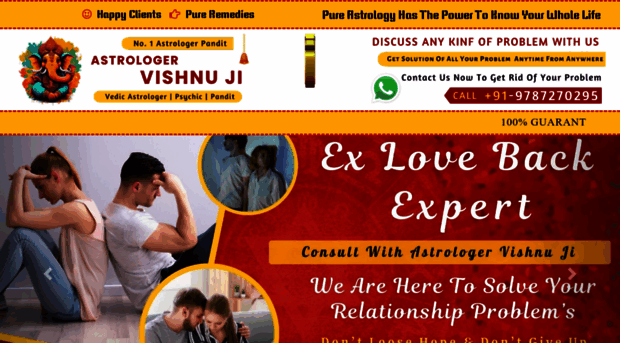 astrologervishnuji.com