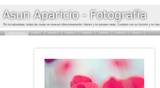 asunapariciofotografia.blogspot.com