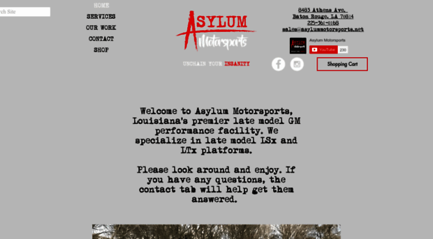 asylummotorsports.net