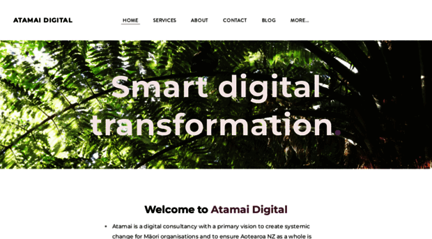 atamai.co.nz