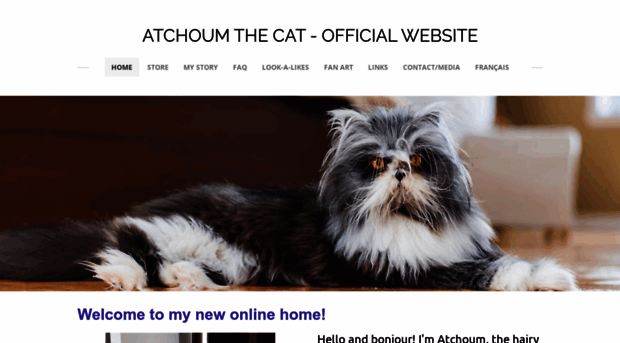 atchoumthecat.com