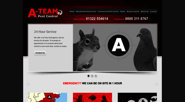 ateampestcontrol.com