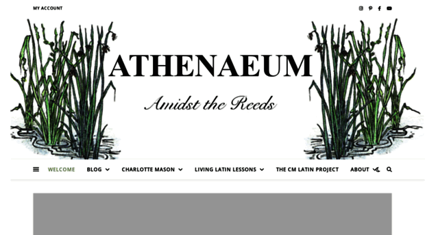 athenaeumamidstthereeds.com