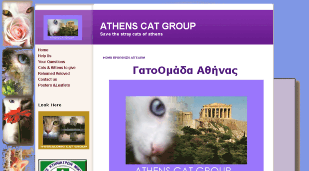 athenscatgroup.webs.com