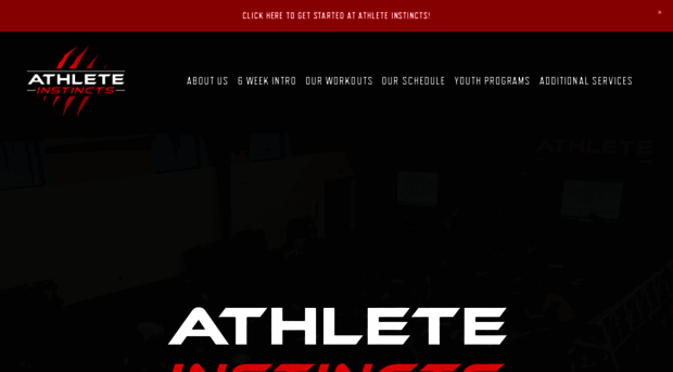 athleteinstincts.com