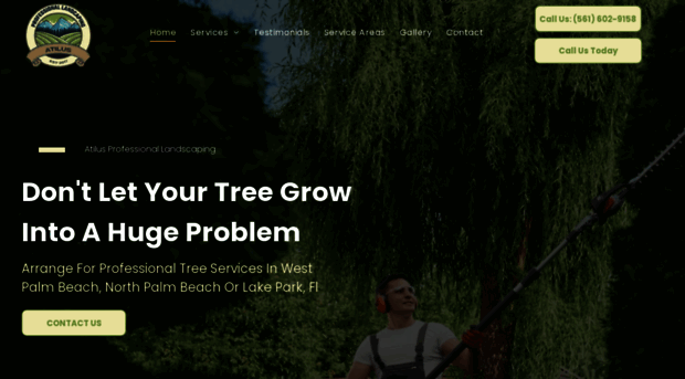 atilusprolandscaping.com