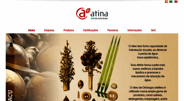 atina.com.br