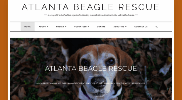 atlantabeaglerescue.org