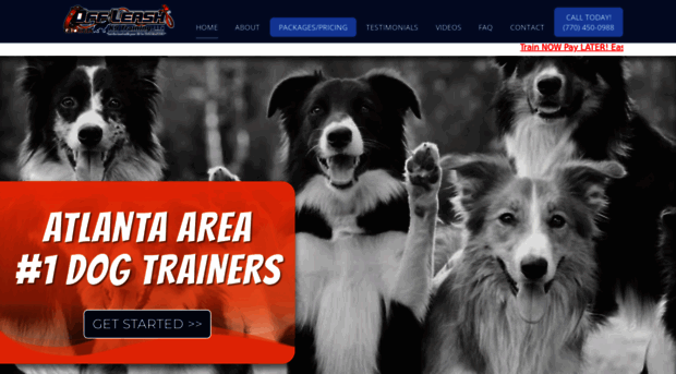 atlantaoffleashdogtrainers.com