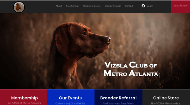 atlantavizsla.org