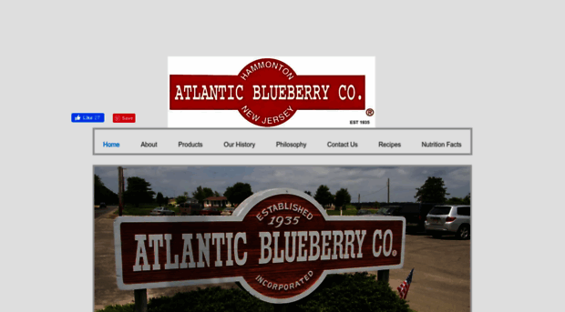 atlanticblueberry.com