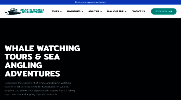 atlanticwhaleandwildlifetours.com