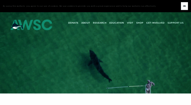 atlanticwhiteshark.org