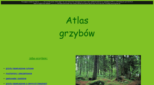 atlasgrzybow.cba.pl