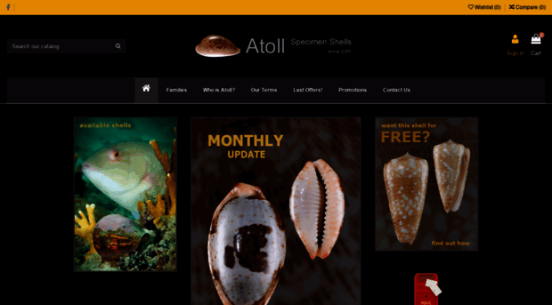 atollseashells.com