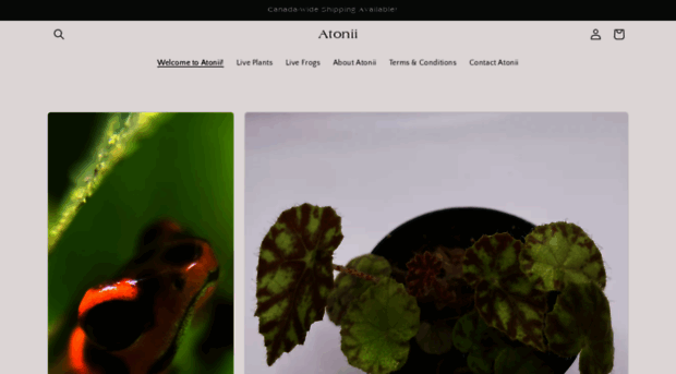 atonii.com