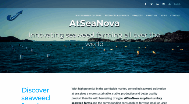 atseanova.com