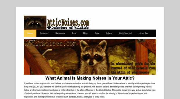 atticnoises.com