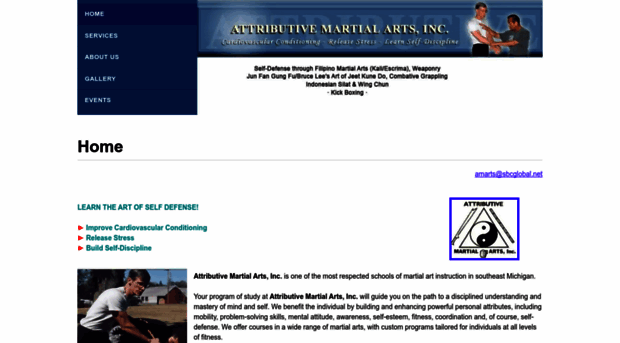 attributivemartialarts.com