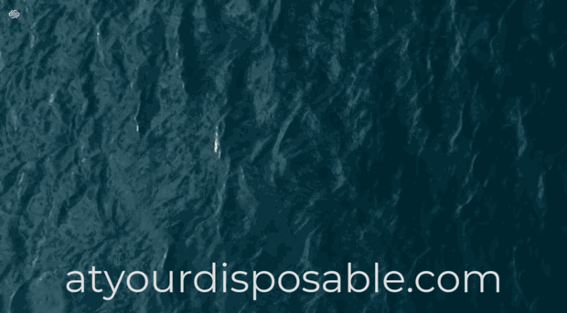 atyourdisposable.com