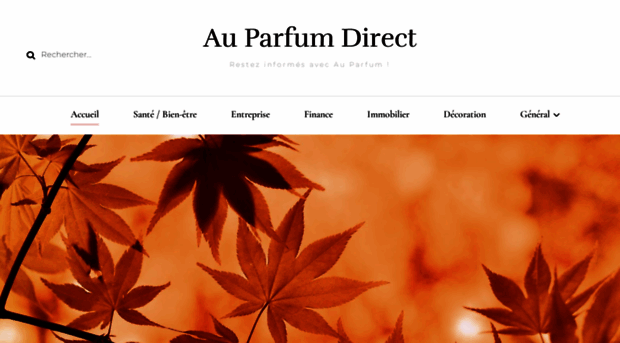au-parfum-direct.net