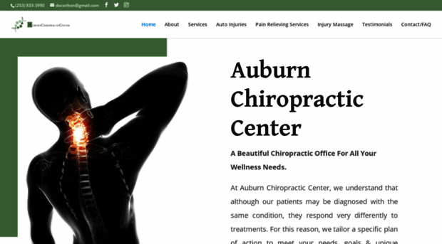 auburnchirocenter.com