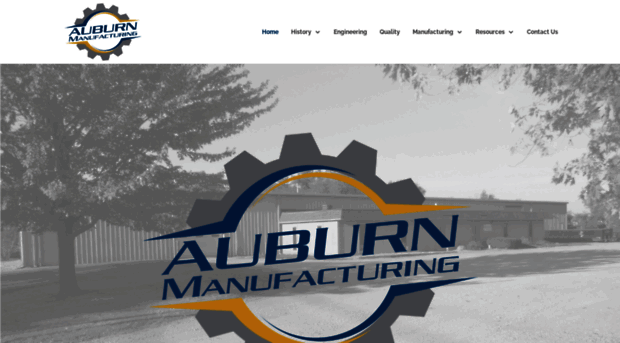 auburnmfg.lassitertest.com