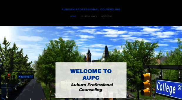 auburnprofessionalcounseling.com