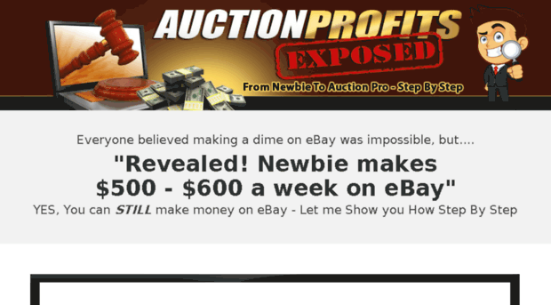 auctionprofitsexposed.com
