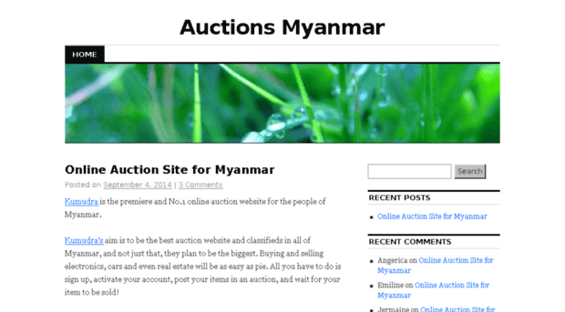 auctionsmyanmar.com