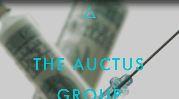 auctusgroupconsulting.com