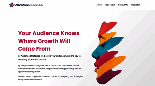 audiencestrategies.com