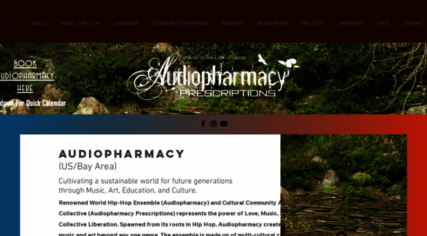 audiopharmacy.com