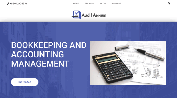 auditannum.com