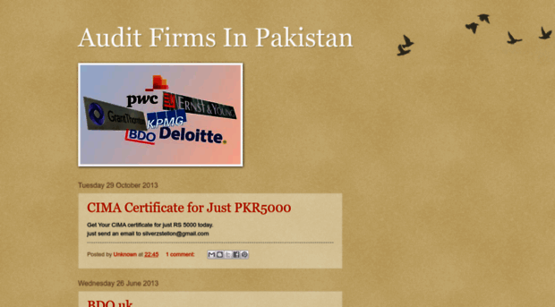 auditfirmsinpakistan.blogspot.com