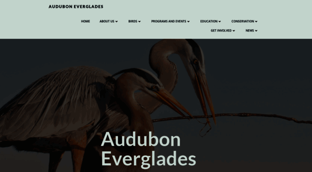 auduboneverglades.org