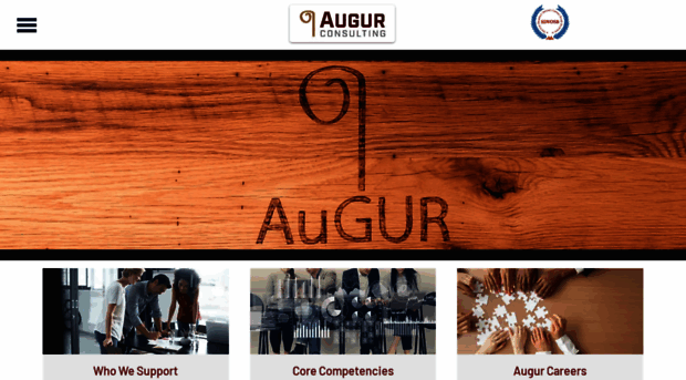 augurconsulting.net