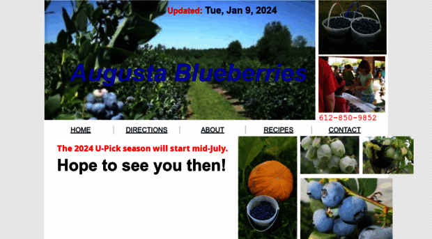 augustablueberries.com