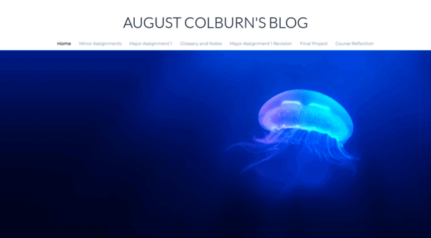 augustcolburn.weebly.com