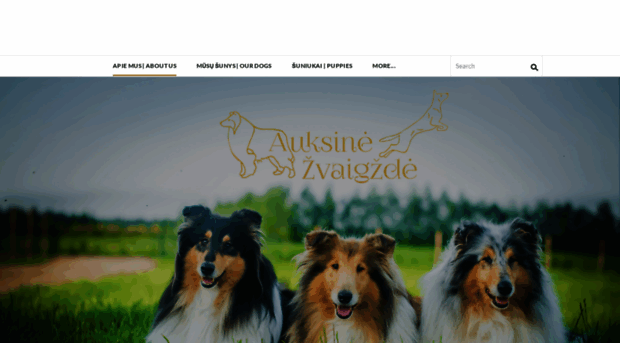 auksinezvaigzde.weebly.com