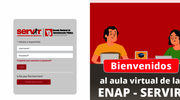 aulavirtual.enap.edu.pe