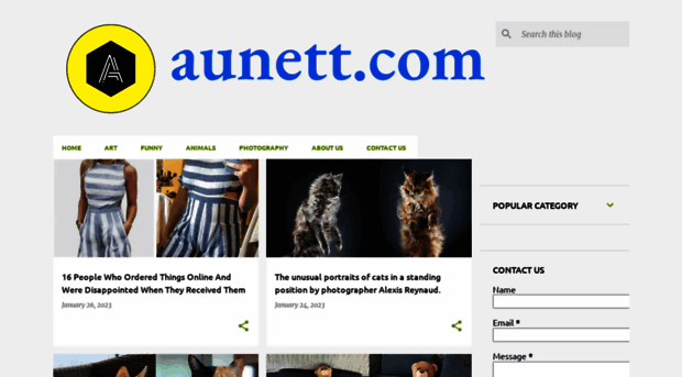 aunett.com