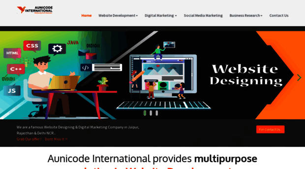 aunicodeinternational.com