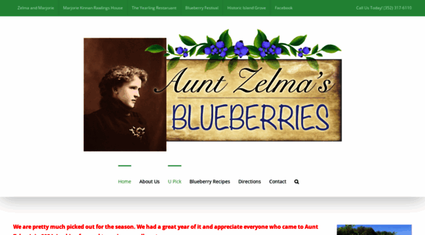 auntzelmasblueberries.com