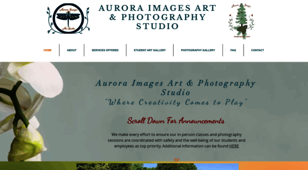 auroraimagesart.com