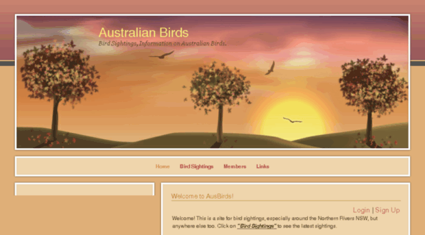 ausbirds.webs.com
