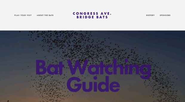 austinbats.org