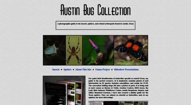 austinbug.com